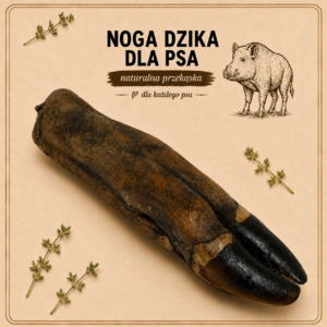 Noga dzika 1szt. - Naturalny gryzak dla psa